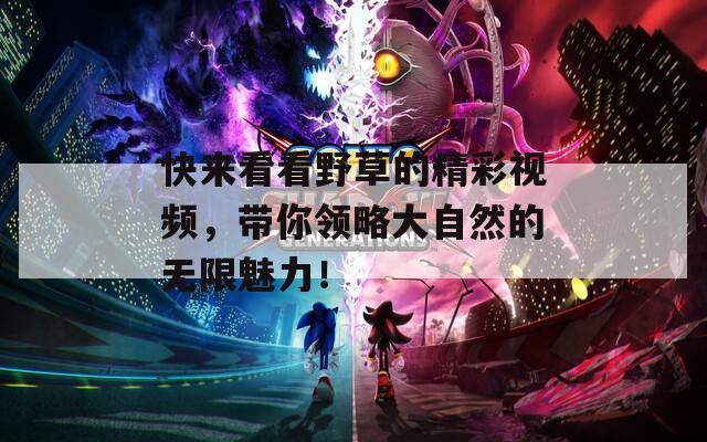 快来看看野草的精彩视频，带你领略大自然的无限魅力！