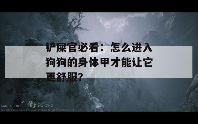 铲屎官必看：怎么进入狗狗的身体甲才能让它更舒服？