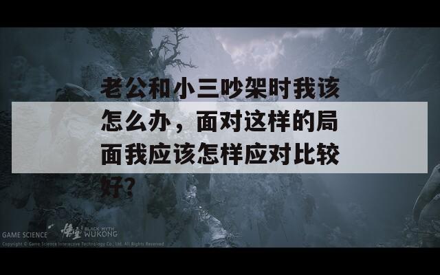 老公和小三吵架时我该怎么办，面对这样的局面我应该怎样应对比较好？