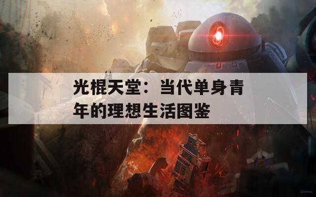 光棍天堂：当代单身青年的理想生活图鉴