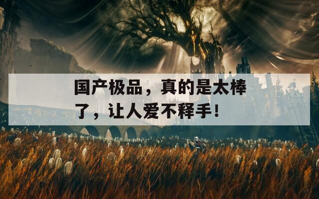 国产极品，真的是太棒了，让人爱不释手！