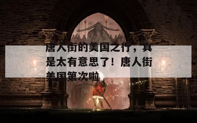 唐人街的美国之行，真是太有意思了！唐人街美国第次啦
