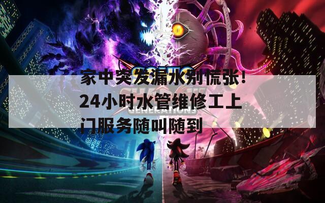 家中突发漏水别慌张！24小时水管维修工上门服务随叫随到
