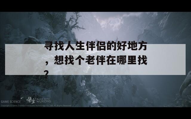 寻找人生伴侣的好地方，想找个老伴在哪里找？