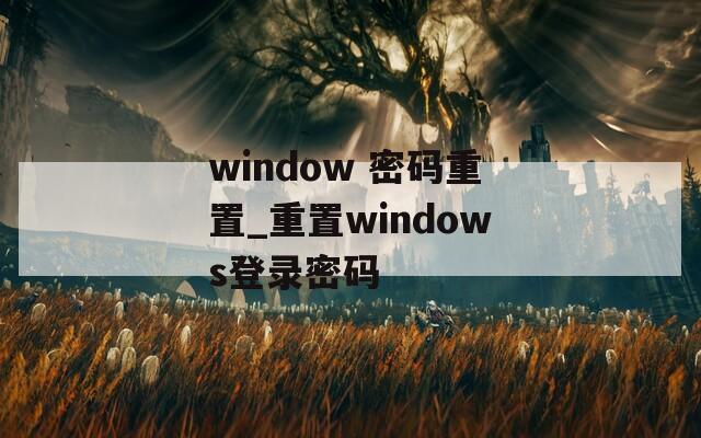 window 密码重置_重置windows登录密码