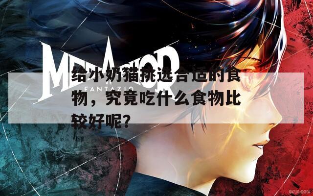 给小奶猫挑选合适的食物，究竟吃什么食物比较好呢？