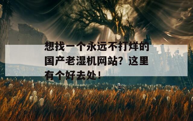 想找一个永远不打烊的国产老湿机网站？这里有个好去处！