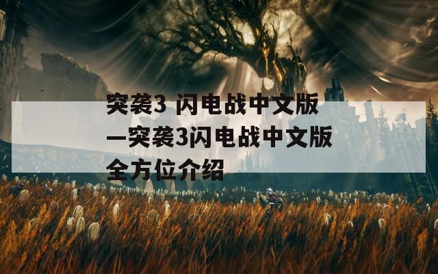 突袭3 闪电战中文版—突袭3闪电战中文版全方位介绍