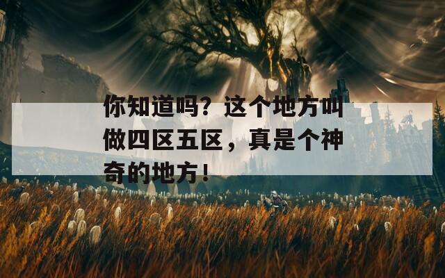 你知道吗？这个地方叫做四区五区，真是个神奇的地方！