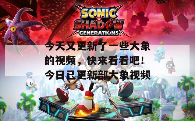 今天又更新了一些大象的视频，快来看看吧！今日已更新部大象视频