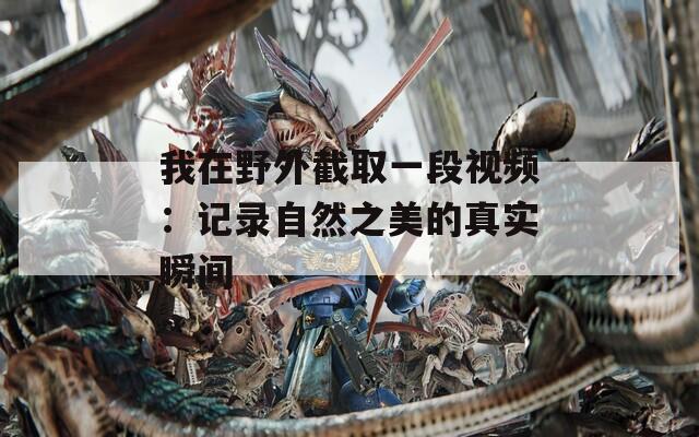 我在野外截取一段视频：记录自然之美的真实瞬间