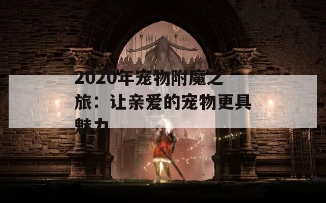 2020年宠物附魔之旅：让亲爱的宠物更具魅力