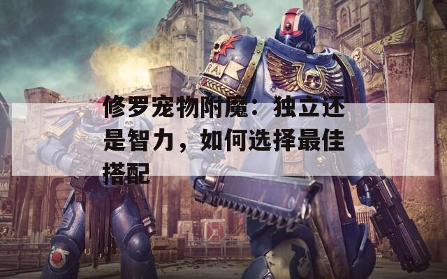 修罗宠物附魔：独立还是智力，如何选择最佳搭配