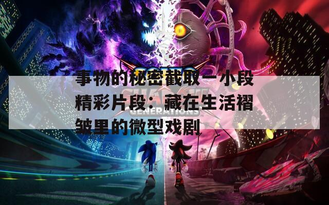 事物的秘密截取一小段精彩片段：藏在生活褶皱里的微型戏剧